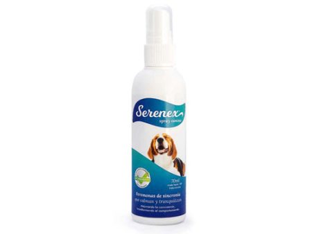 SERENEX König Spray Feromonas Tranquilizantes Perro Online Sale