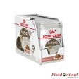 ROYAL CANIN AGEING +12 Salsa para Gatos (+12 Años) 85gr Online Sale