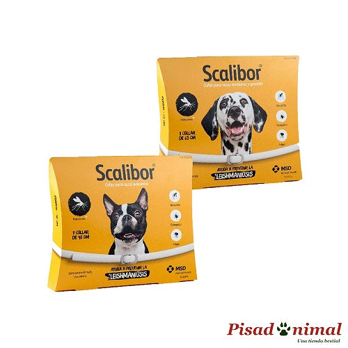 SCALIBOR Collar Antiparasitario para Perros (Especial Leishmaniosis) For Cheap