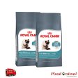 ROYAL CANIN HAIRBALL CARE Pienso para Evitar Bolas de Pelo en Gatos Sale