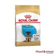 ROYAL CANIN GERMAN SHEPHERD JUNIOR Pienso para Cachorros de Raza Pastor Alemán (Menos de 15 Meses) Sale