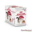 Salsa ROYAL CANIN INSTINCTIVE 85gr para Gatos Adultos Hot on Sale