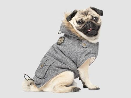 Canada Pooch Alaskan Army Parka Sale