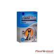 PESTIGON Pipetas Perros Razas Medianas 10-20 Kg Anti Pulgas y Garrapatas Online