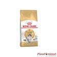 Pienso ROYAL CANIN NORWEGIAN FOREST CAT para Gatos Bosque de Noruega Hot on Sale