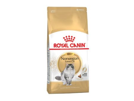 Pienso ROYAL CANIN NORWEGIAN FOREST CAT para Gatos Bosque de Noruega Hot on Sale