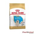 ROYAL CANIN GOLDEN RETRIEVER PUPPY Pienso para Cachorros (hasta 15 Meses de Edad) on Sale