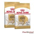 ROYAL CANIN LABRADOR RETRIEVER ADULT Pienso para Perros Adulto (Mayores de 15 Meses) Fashion